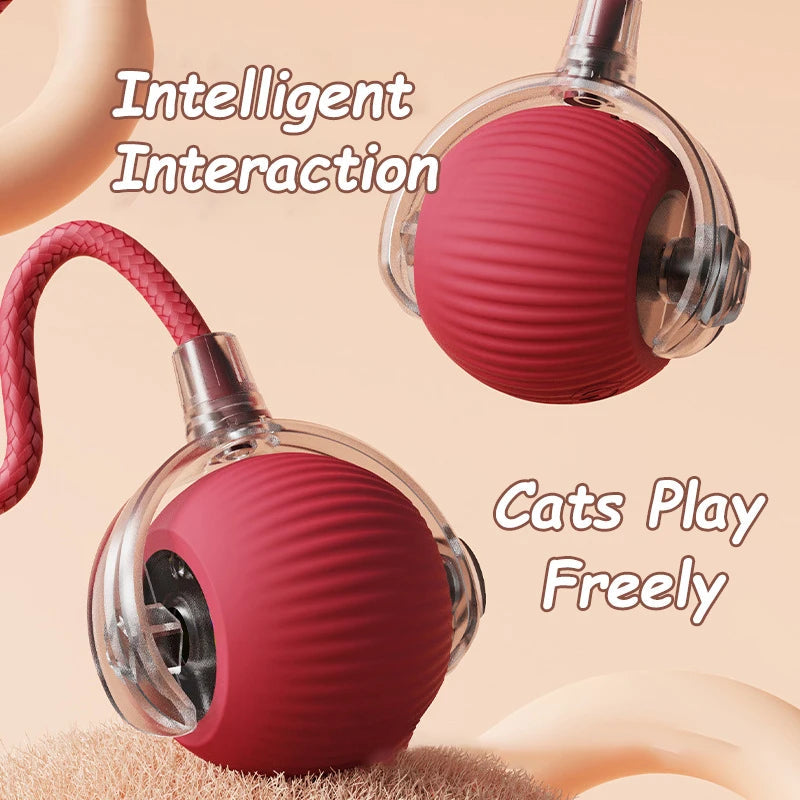 Bola interactiva para gatos en uso